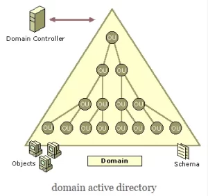 Domain-Logical-Structure