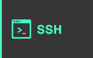 Logo_SSH-Agent