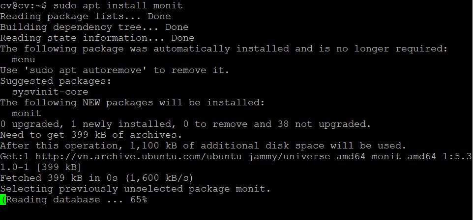 Cách cài đặt và sử dụng Monit trên Ubuntu 22.04