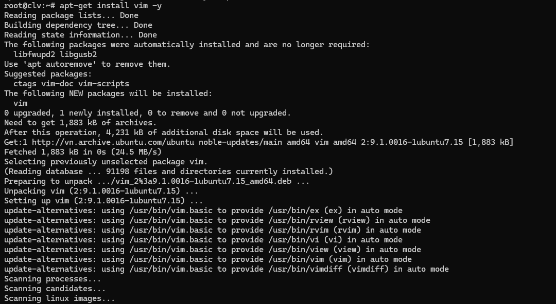 cài đặt vim trên ubuntu 22.04