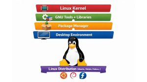 thành phần Linux Distro